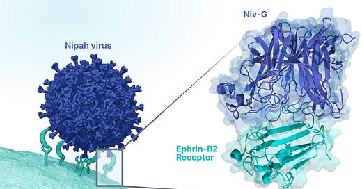 Adaptyv Bio | Substack