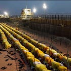 DID THE US GOVERNMENT CREATE ISIS? The American "jihadi university" in Iraq