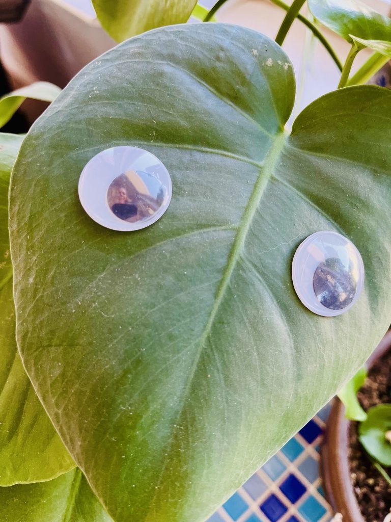 Inspired by Everything Everywhere/ Loscotoff 2022