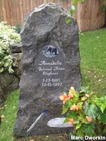 Marker where Annabelle the elephant was laid to rest at the zoo in Anchorage, Alaska.