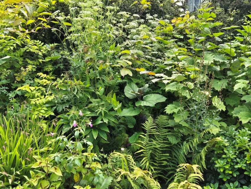Great Dixter Garden copyright Anne Wareham