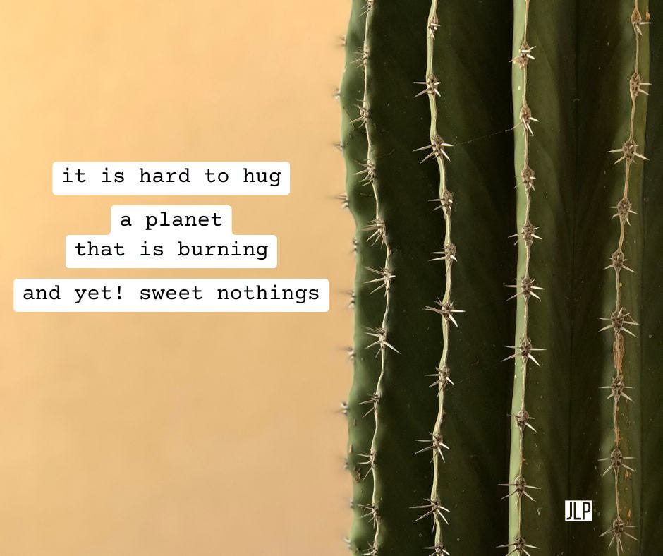 image of cactus on orange background with haiku: it is hard to hug / a planet that is burning / and yet! sweet nothings --JLP