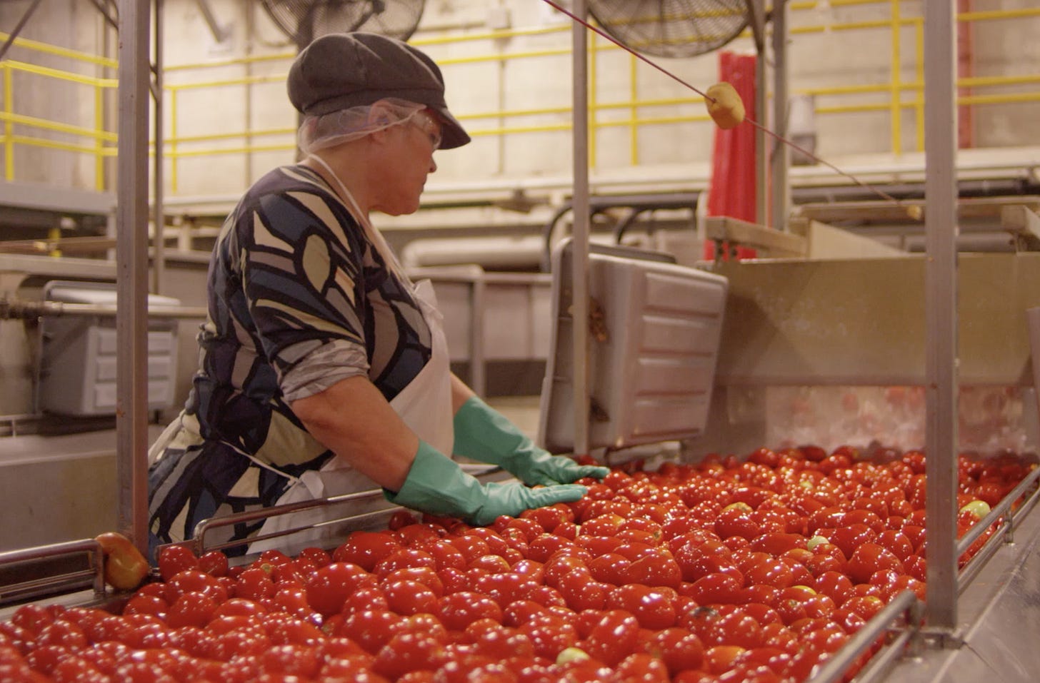 Careers at Campbell Soup Company | Campbell Soup Company Jobs