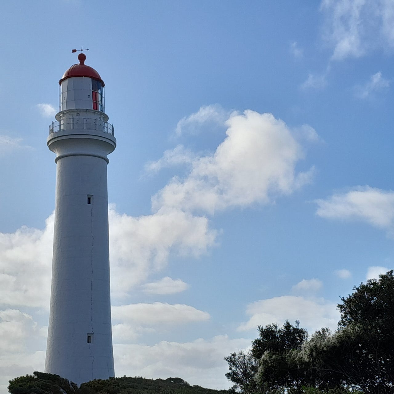 Rose Marie's Substack