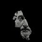 The Stoic's avatar