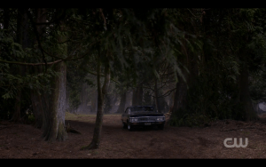 11.19 9 woods impala