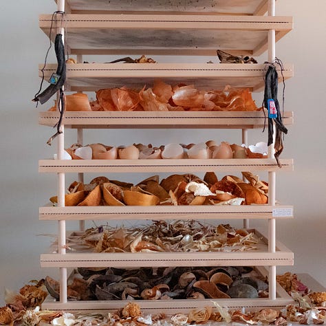 Triptych. Woman in green shirt puts her hands into a frame; layers of dried food scraps on a rack; a glass box filled with those dried scraps, mixed and mingled.