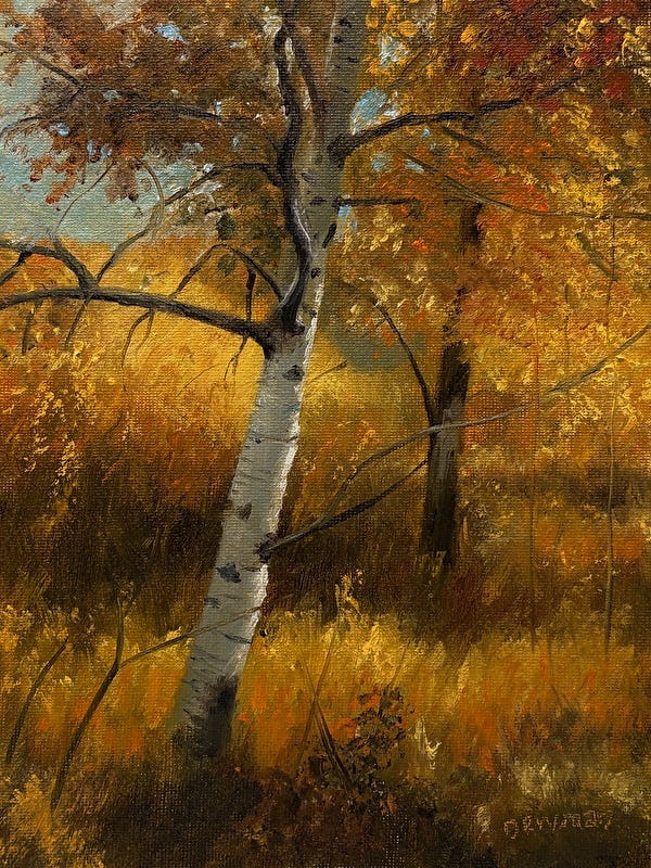 Image 6392572 Image 6392572