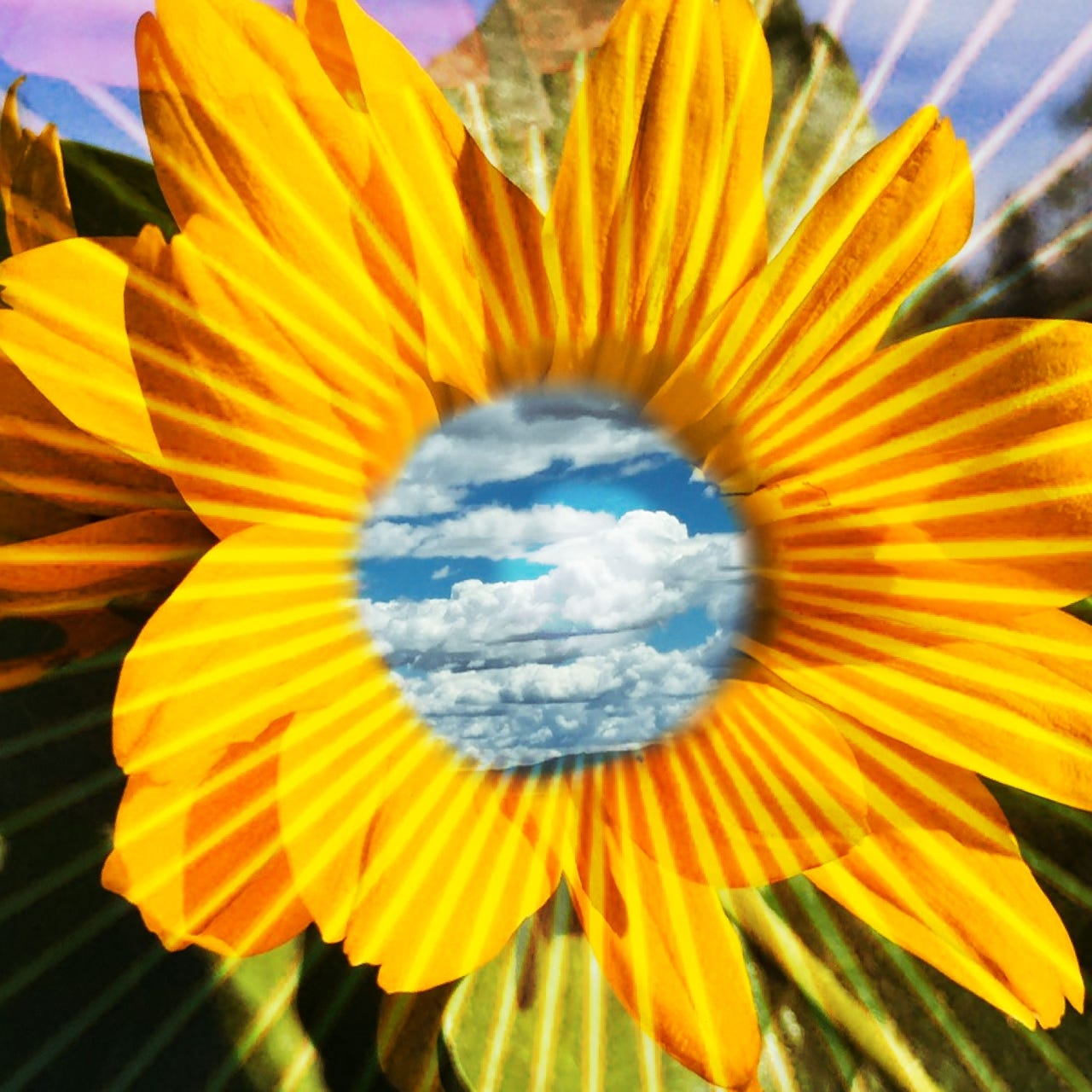 Waxing Photopoetic  logo