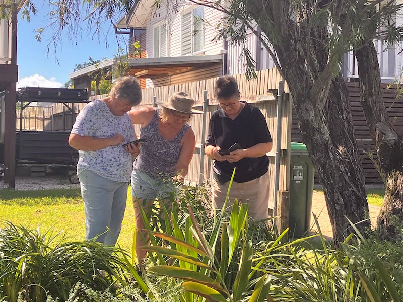 three people standing near a garden, two using their phones three people standing near a garden, two using their phones