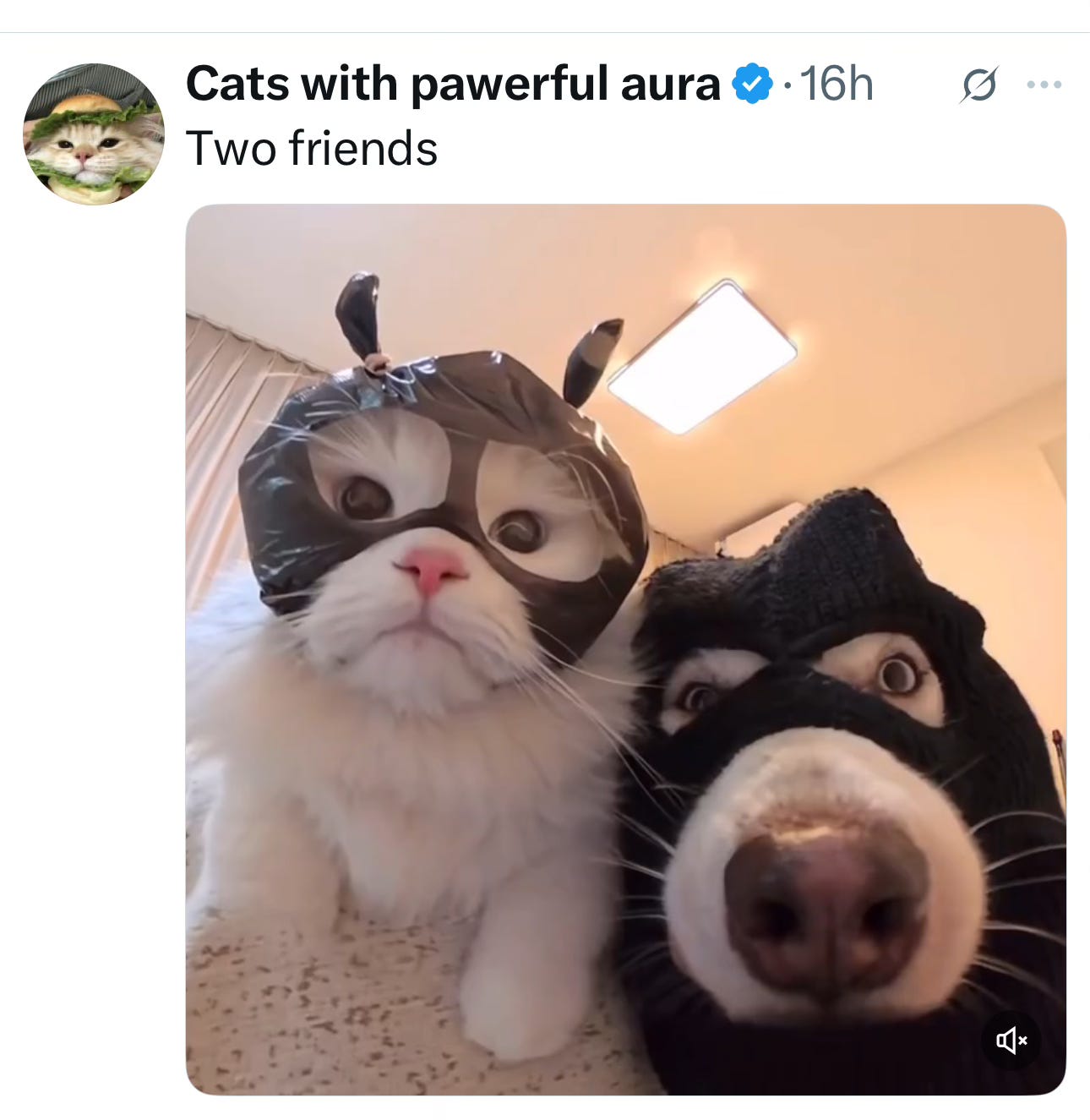 Image.heic Image.heic