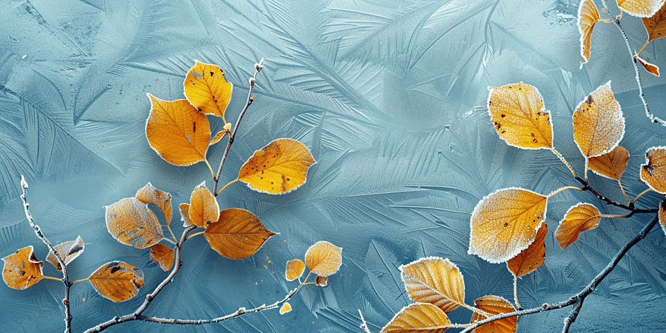 Frost Covered Yellow Birch Leaves On A Light Blurred Background, Frost,  Birch Leaves, Yellow Leaves Background Image And Wallpaper for Free Download