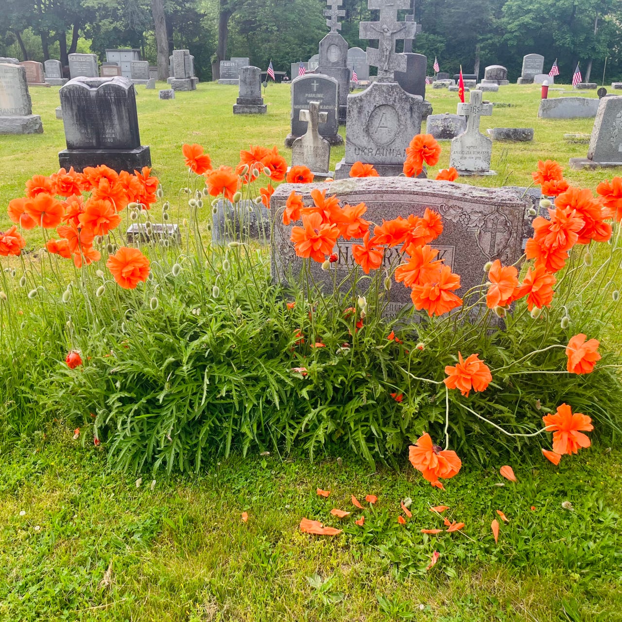 All My Dead & Living Things