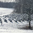 Family, faith, & farm with Jill Warner