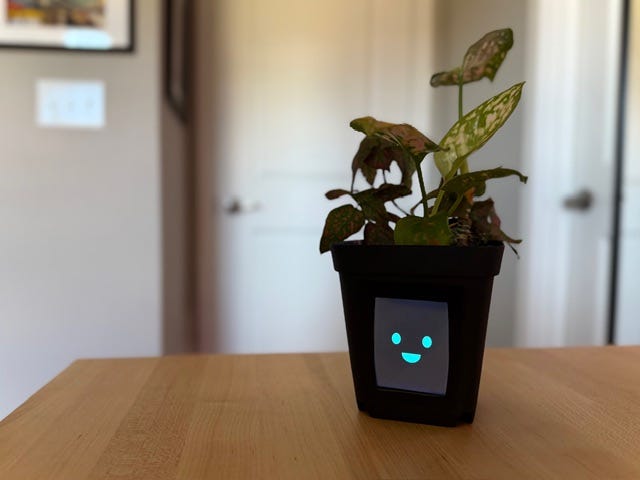 Photo of a small black plant pot on a wooden table with a green plant growing from it and a built-in digital screen showing a smiling blue face.