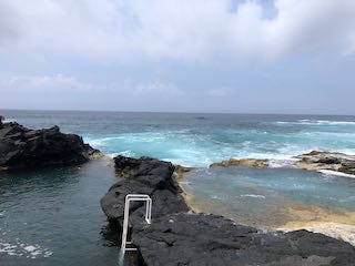 Images of a rocky coastline with blue water, a little blue church with a windmill, and a palmtrees and ferns in a botanical garden.