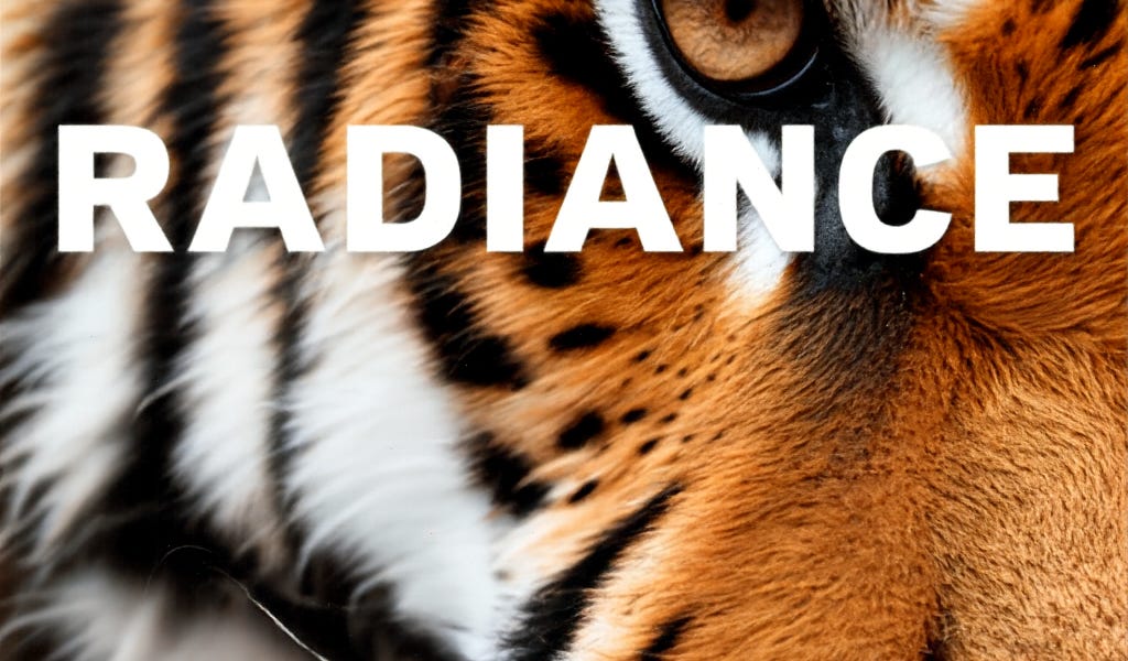 HuMo & Chroma1-Radiance Native Support in ComfyUI