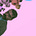 taller ahuehuete's avatar
