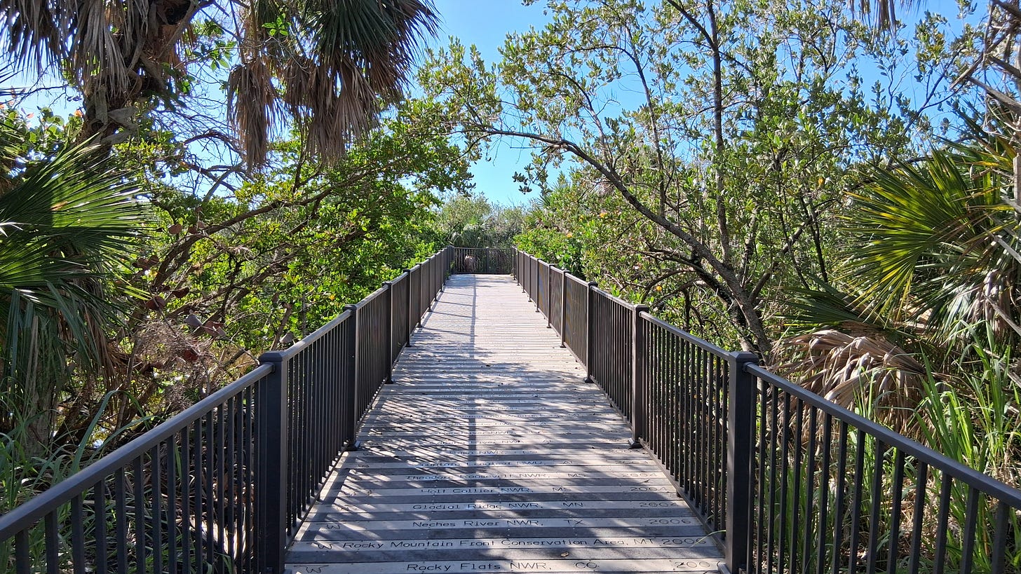 The Centennial Trail boardwalk. Pelican Island NWR