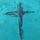 Apostolic Purpose