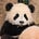 Jack C.'s avatar
