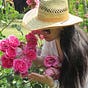 Jie Meng's avatar
