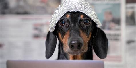 Conspiracy Theory Memes: The Weird, the Sad, the Ugly