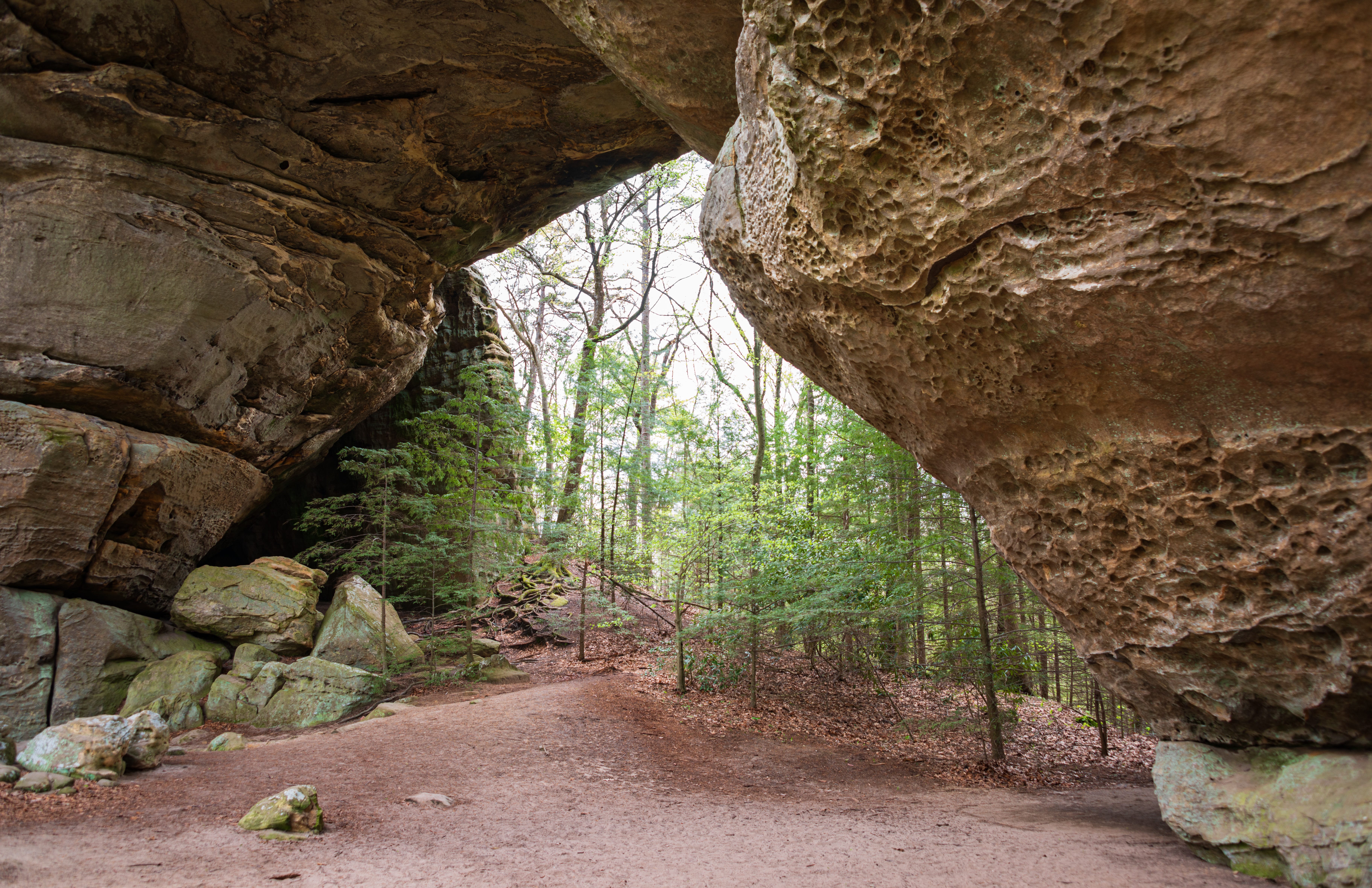 Week #14: Twin Arches
