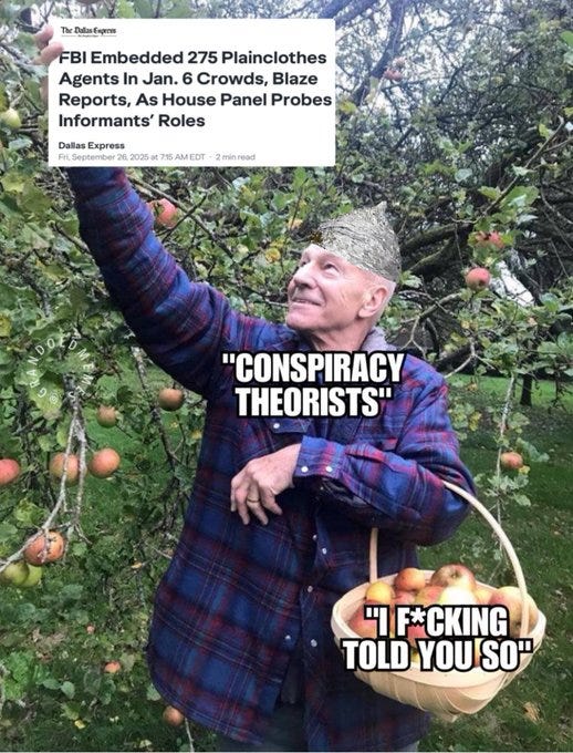 An older man in a plaid shirt and cap picking apples from a tree, holding a basket. Text overlays read "CONSPIRACY THEORISTS" and "I F***ING TOLD YOU SO." A news headline from Dallas Express about FBI agents in plainclothes at a January 6 crowd is visible.