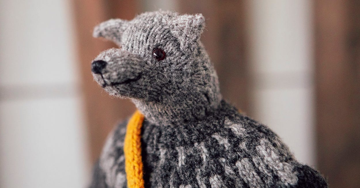 The Mouche & friends Club | Cinthia Vallet | Substack