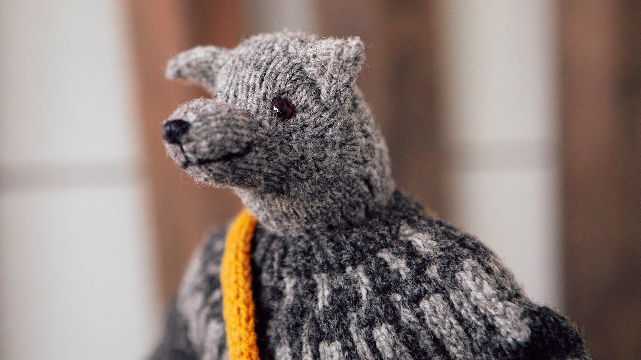 The Mouche & friends Club | Cinthia Vallet | Substack