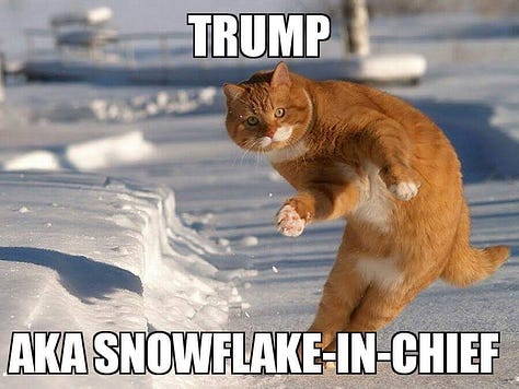 Vintage Political Memes #2