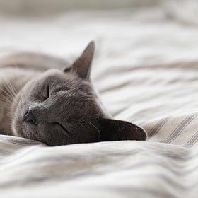 Who needs sleep? Me! But maybe not you?