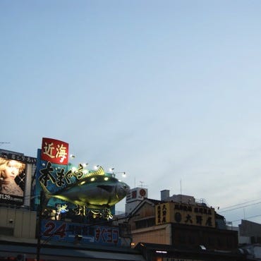 La Newsletter di Pesceriso