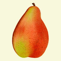 Business/Women with Katherine Danesi