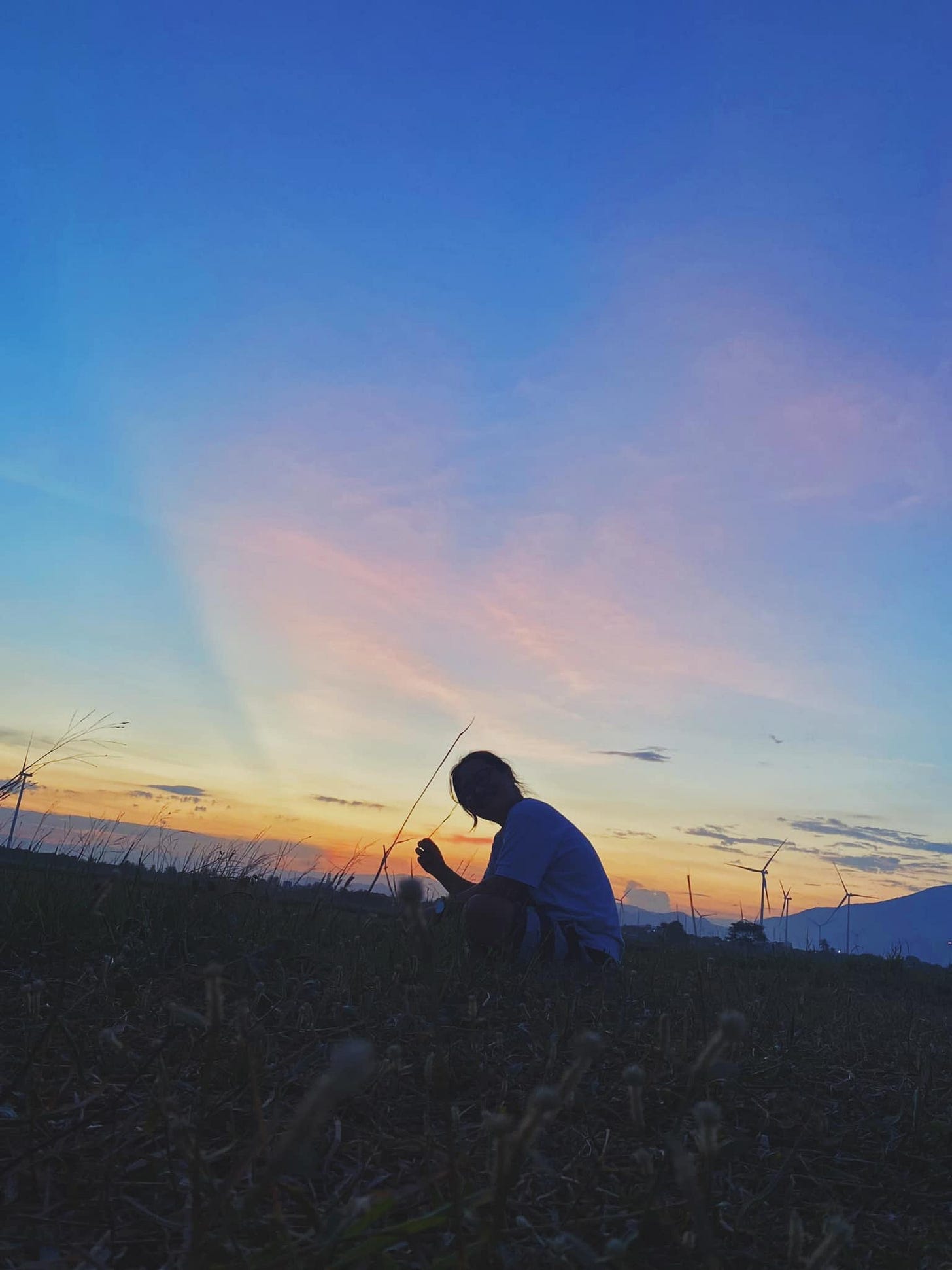 May be an image of 1 person, fishing rod, twilight, grass and cloud