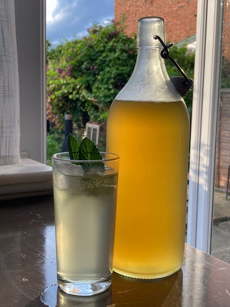 Elderflower heads being cleaned. Bottle of finished cordial and class of drink mixed with sparkling water and mint leaves