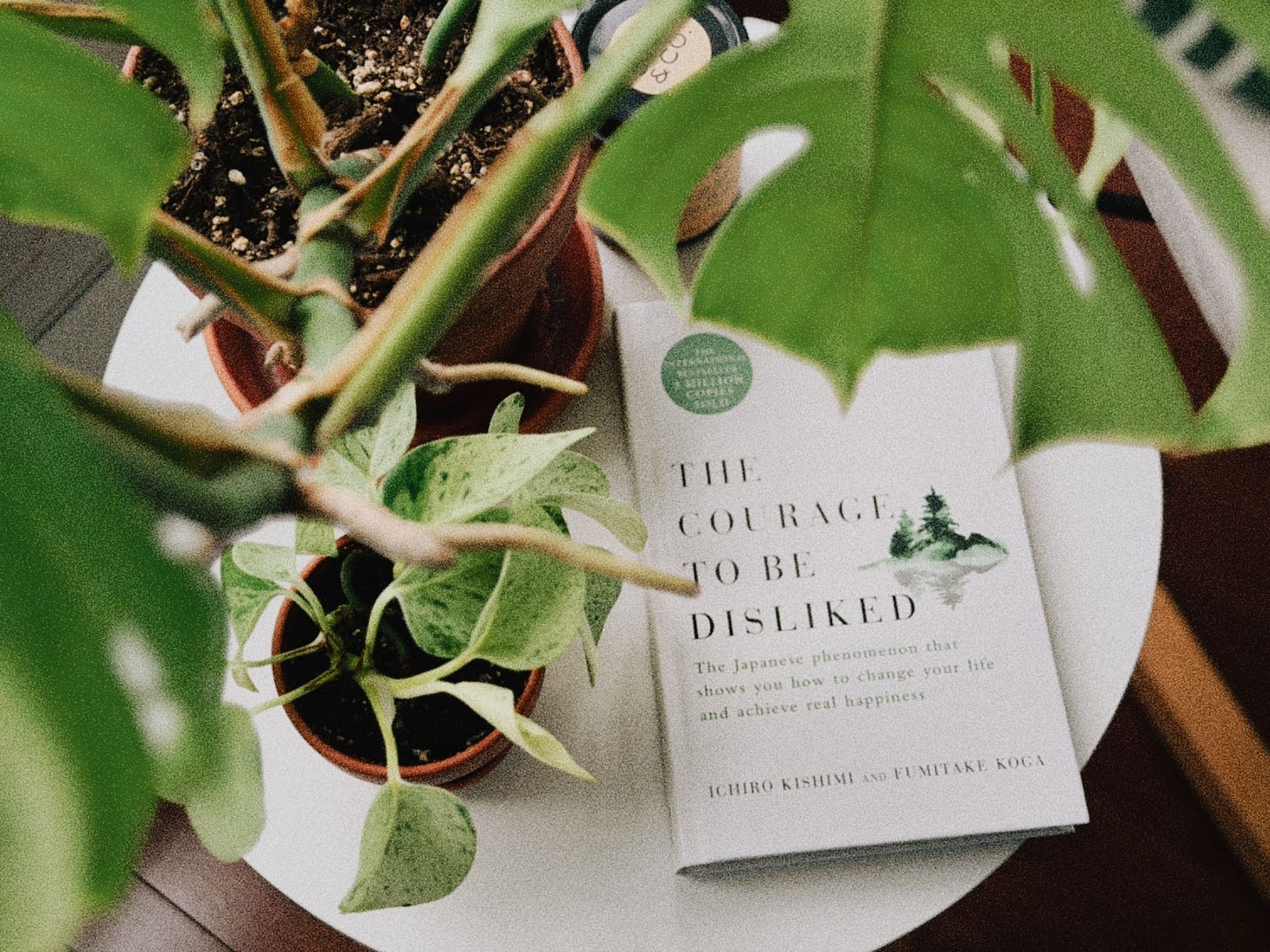 Le livre The Courage to be Disliked de Kishimi et Koga, debout sur une table blanche entourée de plantes en pot, sur une terrasse en bois.
