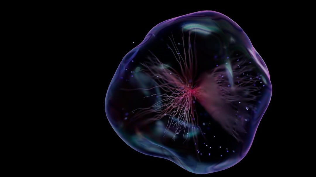 Cell Therapy Company Announces Approval For Heart Failure Treatment Study