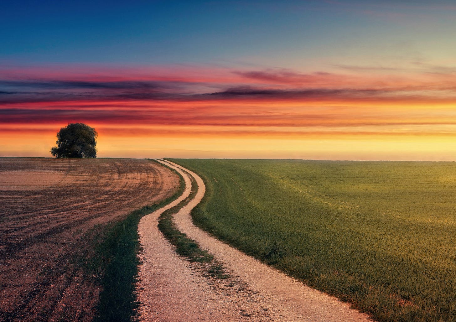 Chemin dans la plaine au soleil couchant