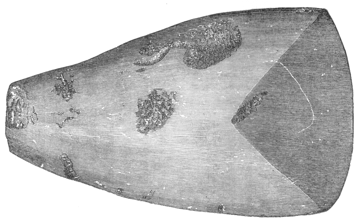 Polished stone axe from Great Langdale (Wikimedia Commons)