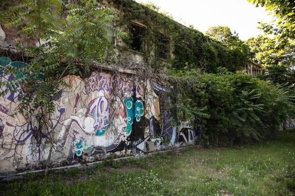 Uno scorcio dei murales sul Viale di S.Maria a Crema (Cr) il luogo scelto da Michela per il suo ritratto per il progetto "Donne di Crema" (C)Monica Monimix Antonelli Uno scorcio dei murales sul Viale di S.Maria a Crema (Cr) il luogo scelto da Michela per il suo ritratto per il progetto "Donne di Crema" (C)Monica Monimix Antonelli