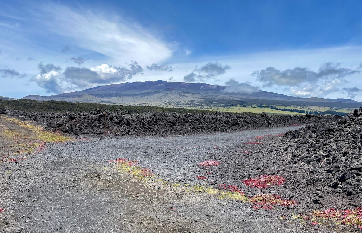 View of Mauna Kea