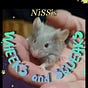 NiSS's Wheeks and Squeaks's avatar