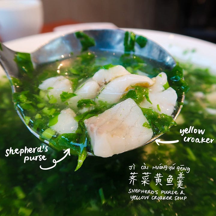 Shepherd’s purse and yellow croaker soup (荠菜黄鱼羹, jìcài huáng yúgēng)
