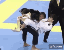 Jiujitsu GIFs | Tenor