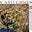 Richard Conniff on Nature's avatar