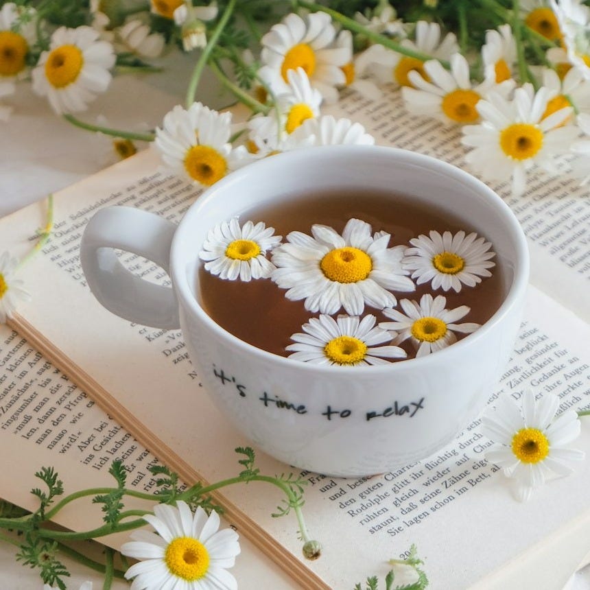 a cup of hot chocolate with daisies on a book a cup of hot chocolate with daisies on a book