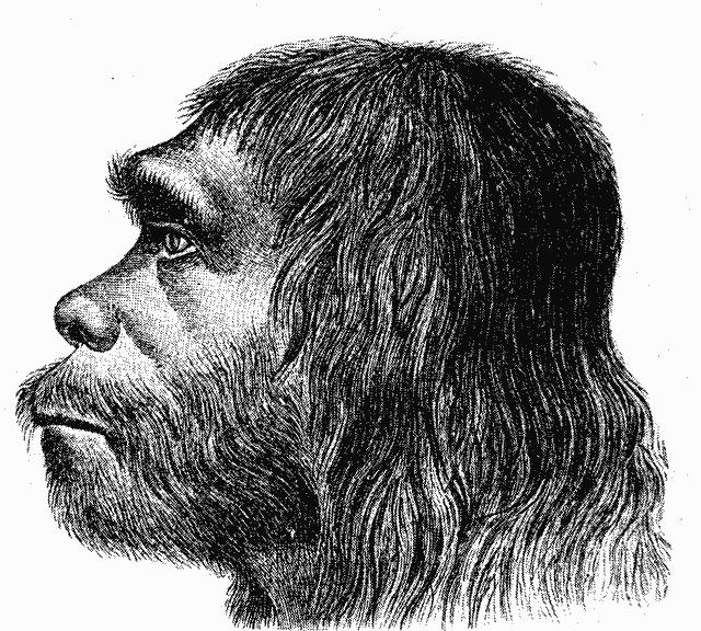Neandertal yüzleri soğuka adapte olmamıştı