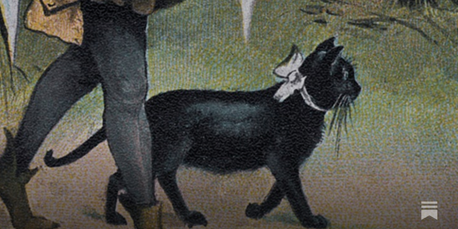 Black Cat Roots: From Divine Guardians to Friday the 13th Scapegoats